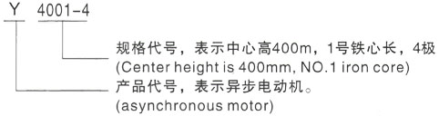 西安泰富西玛Y系列(H355-1000)高压YR4003-4三相异步电机型号说明