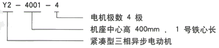 YR系列(H355-1000)高压YR4003-4三相异步电机西安西玛电机型号说明